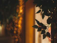 [나크/주인] 밤에 나눈 이야기