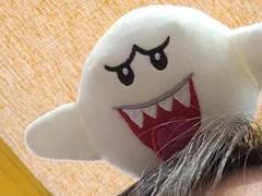 D+109 유니버셜 스튜디오에 갔다고?!