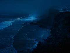 [알리로이] 바다 데이트