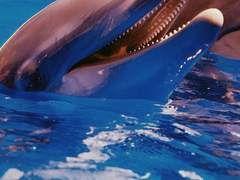 소애린 2학년 XX