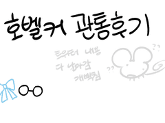 호벨커 관통후기