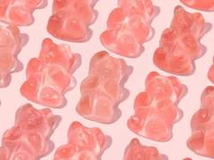 자루 님 커미션 양식