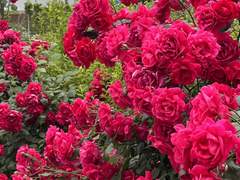 어떻게 보낼까요?