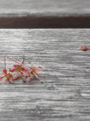 왜 그랬는지 생각해 봐 