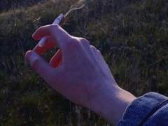 발화된 추억을 향한 관성의 법칙