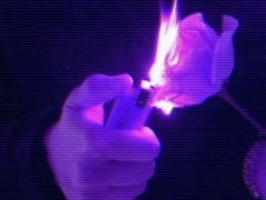 사랑은 자해다.