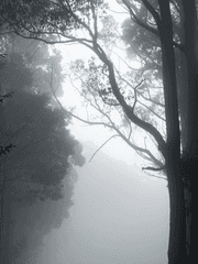 𝐈𝐜𝐚𝐫𝐮𝐬