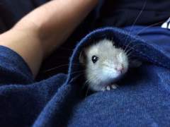 박지성은 모태솔로인가