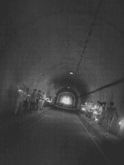 존재하지 않는 미래입니다 [좀아포틴]