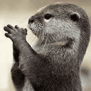 쿠키 먹는 여우