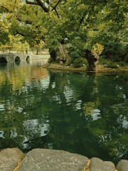 다시, 한 번 더, 계속