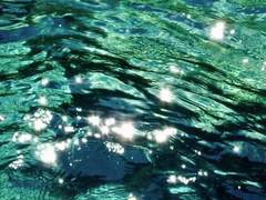 The more Sparkling Green