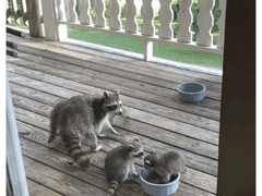 준빵 짧썰? 모음 3 (백업용)