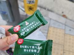 D+110 프랑스남 만나서 민경불어하다