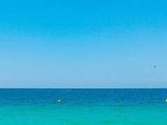 한월 / 3학년 / XY