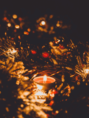 [나루토] 운명 혹 선택