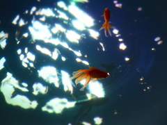 감정의 온도 2章