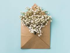 230612-연인의날 VxW [안개꽃]