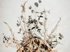 [민식] 아무 날에 쓰는 연애편지