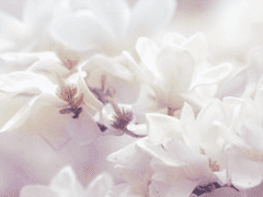 망각은 사람을 살리기도 하지만 동시에 죽이기도 하는 것이더라.