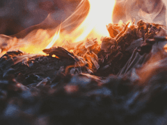 [우성명헌] 유해(遺骸) 1