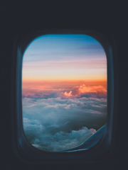 도리벤 단편 드림