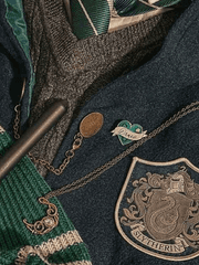 슬리데린 그놈들