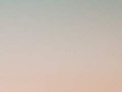 태대온 회지 통판 안내 (구매 폼 포함)