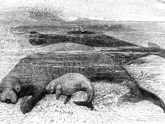 동료를 괴롭히지 말아요.