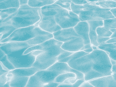 [호댐] 지하철의 세계