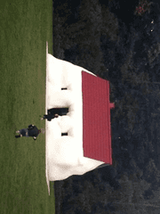 해바라기는 태양만 바라본다