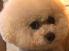 #230312-230313) 밀바엔 생일카페에 가다