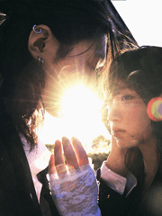 沙糖ディーラー 