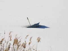 시릴만큼 고요한 눈, 그리고 시선의 궤도