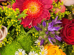 the scent of ❤️ INFO.