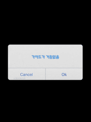 가이드가 거침없음