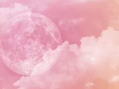 帰ってくると信じ。