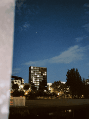 캘리포니아 일광화상