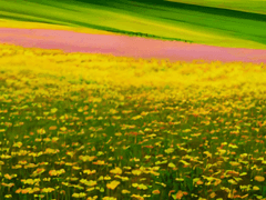 완벽한 세계를 부수는 방법