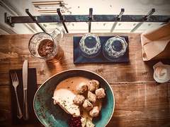 북극여우 관찰일기 08