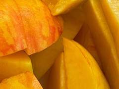 나는 황도의 우울이 무서웠다