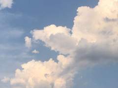 따스한 바람에 눈을 뜨자