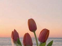 너의 옆자리가 너무나도 당연해졌어.