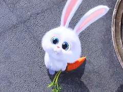 글 수정 공지 겸 사담