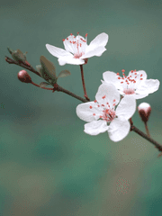 결투 조각글 모음