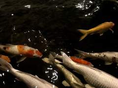 잊기 위해서 부단히 노력함에도