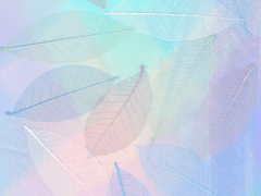 귀티나는 법/ 남들이 함부로 대하지 못하는 분위기(나만의 분위기)/ 관리법 - 통합본 (프롤로그+외+내면편 통합본)