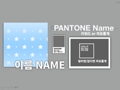 팬톤 테마 1인 페어틀