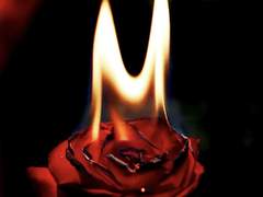 센티넬가이드 26