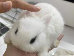 엔시티 포타 추천5